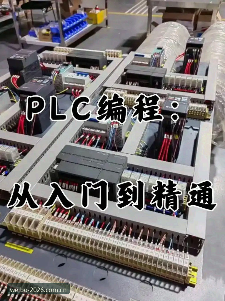 从入门到精通：资深用户分享伟博体育安卓版使用指南与实战心得